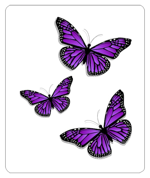 F35 purple butterflies PROOF